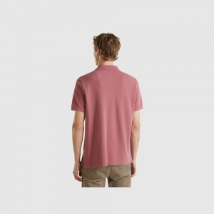 Camisa Polo Benetton Plum regular fit Hombre Morados | FSGDKY963