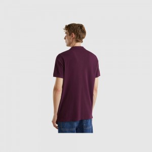 Camisa Polo Benetton Regular fit Hombre Morados Oscuro | OUNGZM270